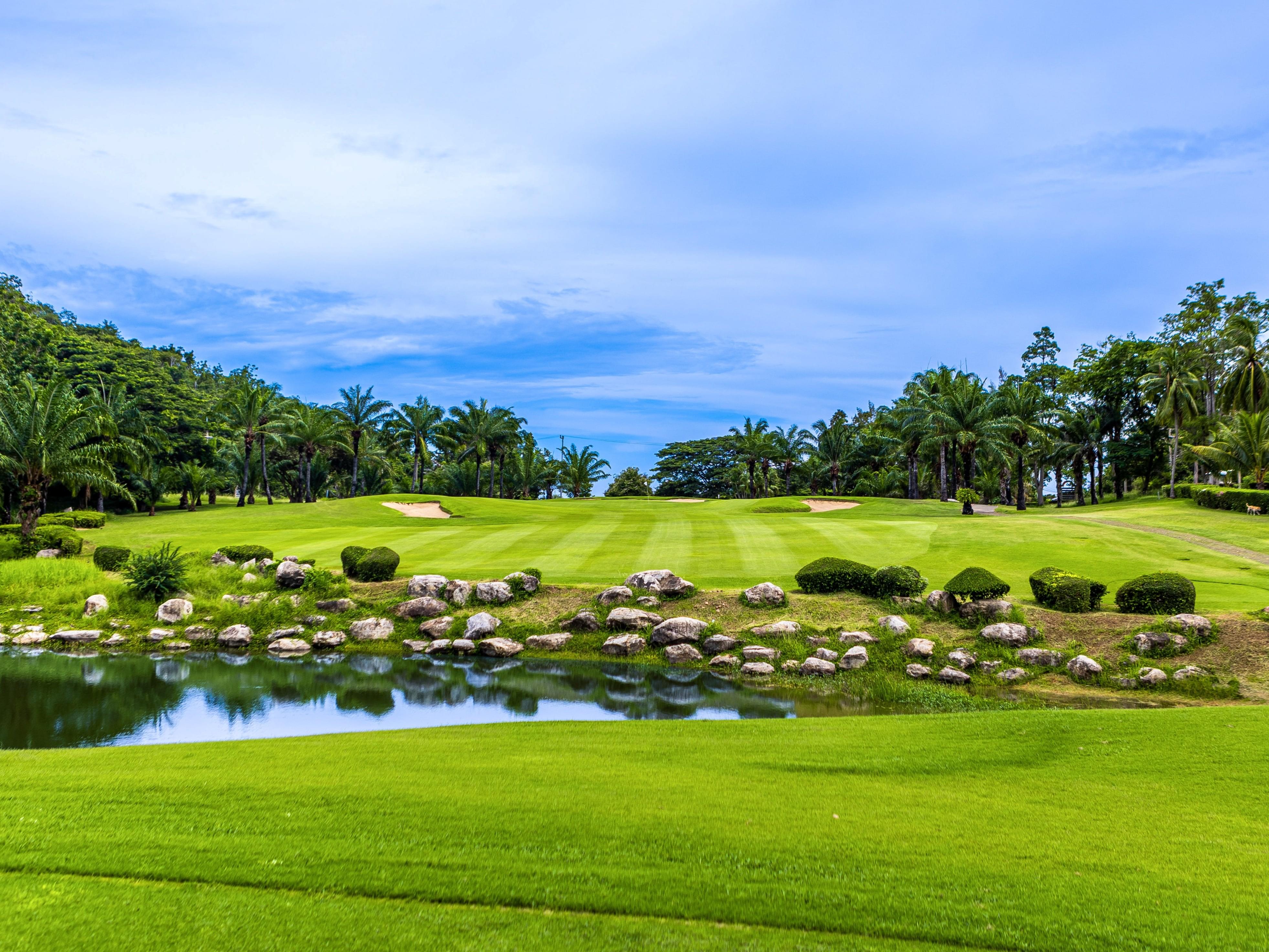 PALM HILLS GOLF CLUB (Max Wexler)