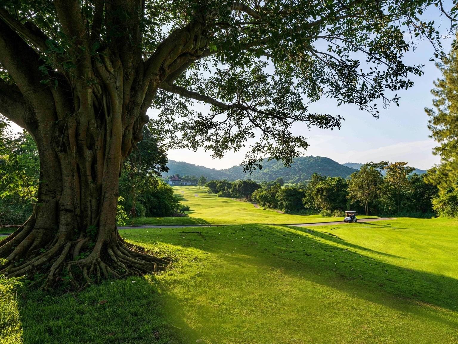 PINEAPPLE VALLEY GOLF CLUB (Pirapon Namatra)